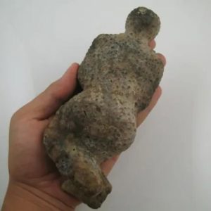 Shaman Fossil - BK 28
