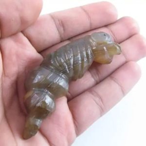 Fossilized Caterpillar – Type A8