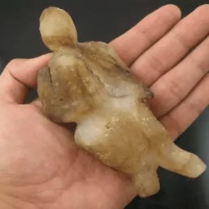 Shaman Fossil - BK 3