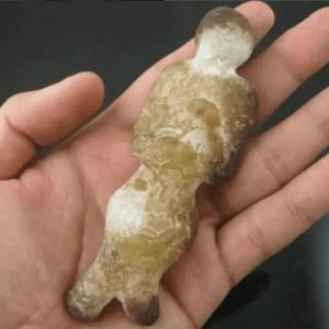 Shaman Fossil - BK 2