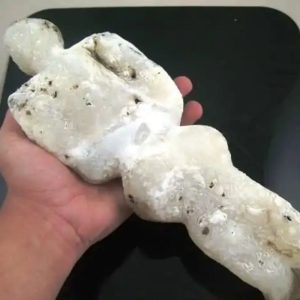 Shaman Fossil - BK 47