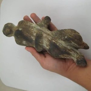 Shaman Fossil - BK 34