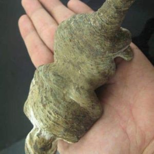 Shaman Fossil - BK 21