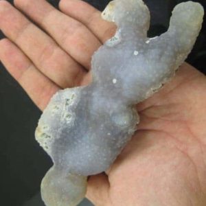 Shaman Fossil - BK 7