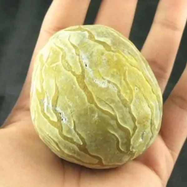 Mountain Pearl - Type B3 (Semeru)