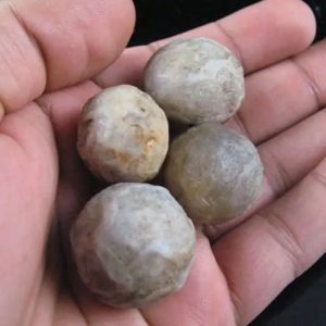 Gaharu/Agarwood Pearl – Type A1