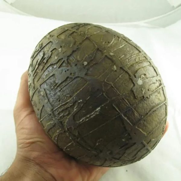 Mountain Belt Pearl - Type A1.4 (Egg Shape)