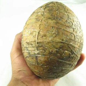 Mountain Belt Pearl - Type A1 (Egg Shape)