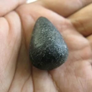 Snake Heart Fossil Type - H2
