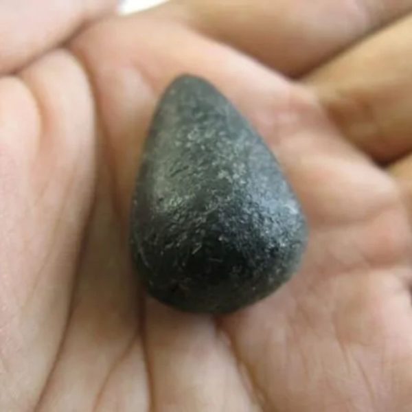 Snake Heart Fossil Type - H2