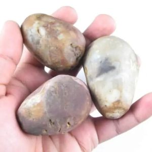 Gaharu/Agarwood Pearl – Type B1