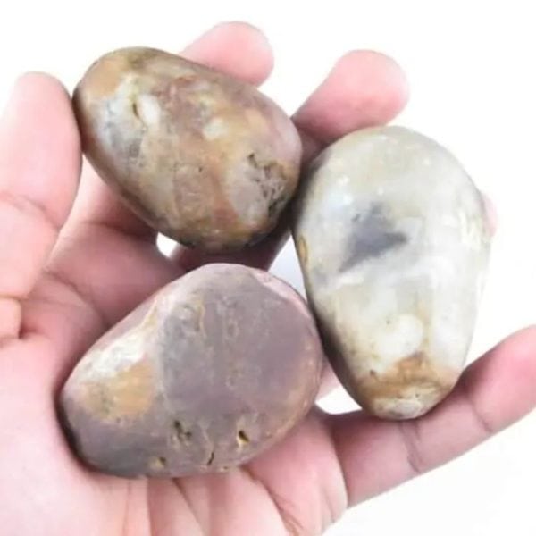 Gaharu/Agarwood Pearl – Type B1
