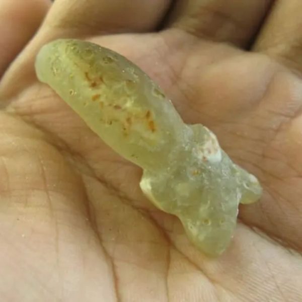 Snake Heart Fossil Type - C9