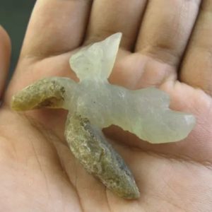 Snake Heart Fossil Type - C5
