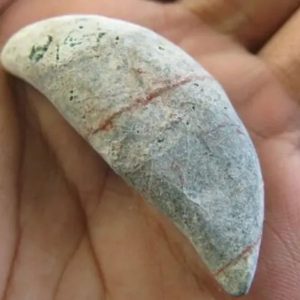 Snake Heart Fossil Type - E5