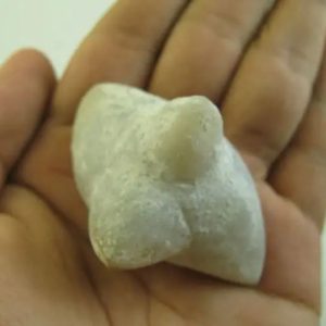 Snake Heart Fossil Type - E2