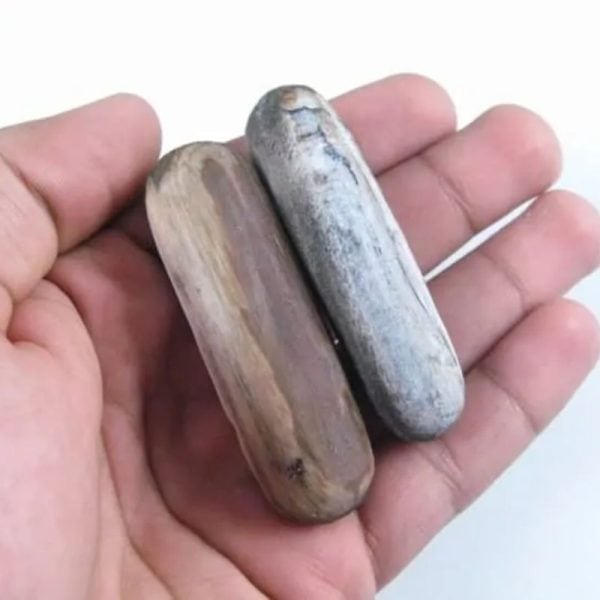 Gaharu/Agarwood Pearl – Type D1