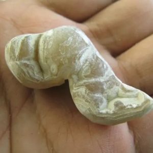 Snake Heart Fossil Type - F4