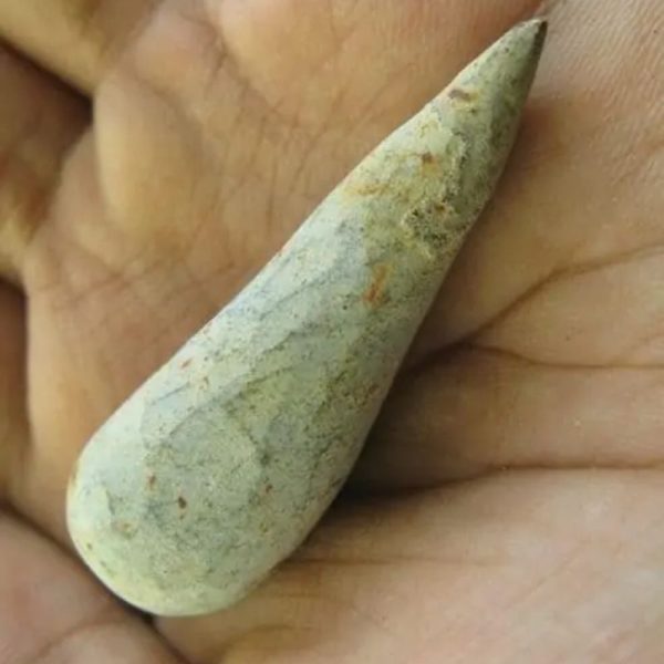 Snake Heart Fossil Type - G6