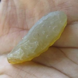 Snake Heart Fossil Type - K4