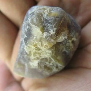 Snake Heart Fossil Type - K3