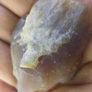 Snake Heart Fossil Type - K2