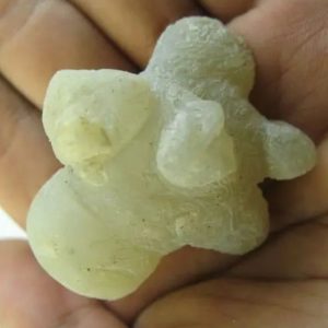 Snake Heart Fossil Type - J5