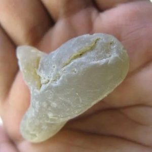Snake Heart Fossil Type - J4