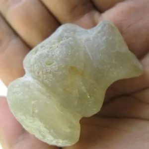Snake Heart Fossil Type - J3