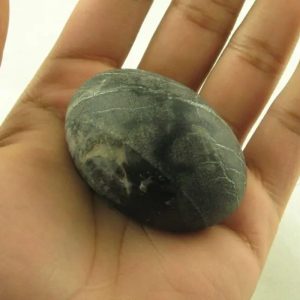 Gaharu/Agarwood- Type D2–SOLD