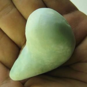 Snake Heart Fossil Type - L4