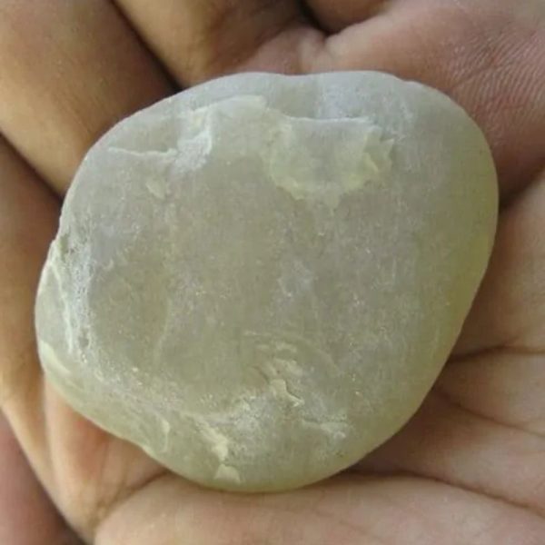 Snake Heart Fossil Type - K1