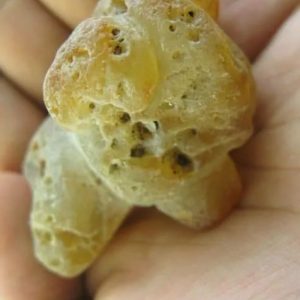 Snake Heart Fossil Type - J1