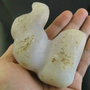 White King Dragon Horn