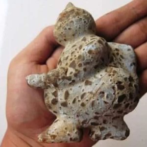 Semar Mesem Fossil - Large C11