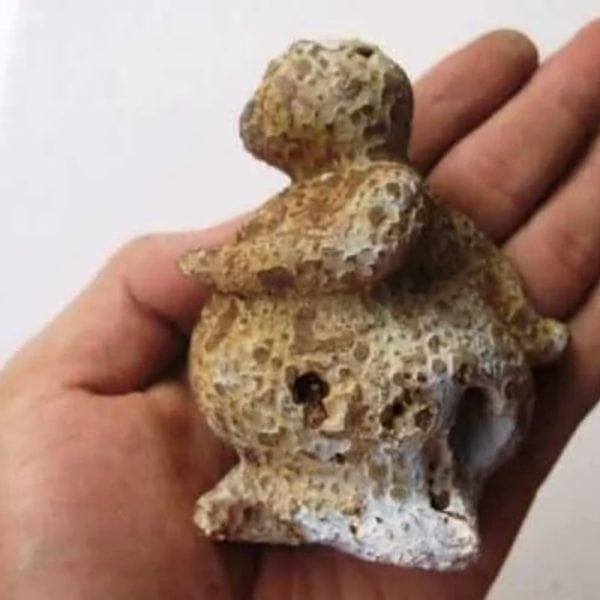 Semar Mesem Fossil - Large C9