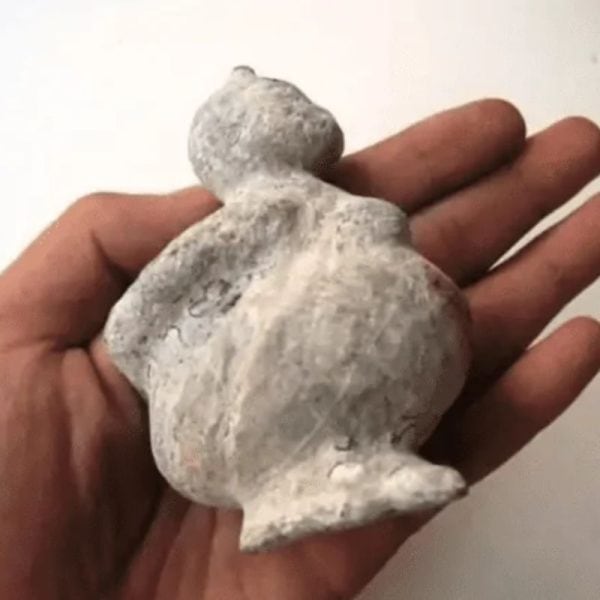 Semar Mesem Fossil - Large C1