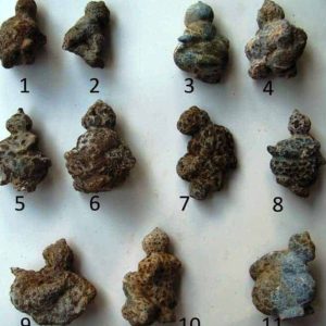 Semar Mesem Fossil - B Medium