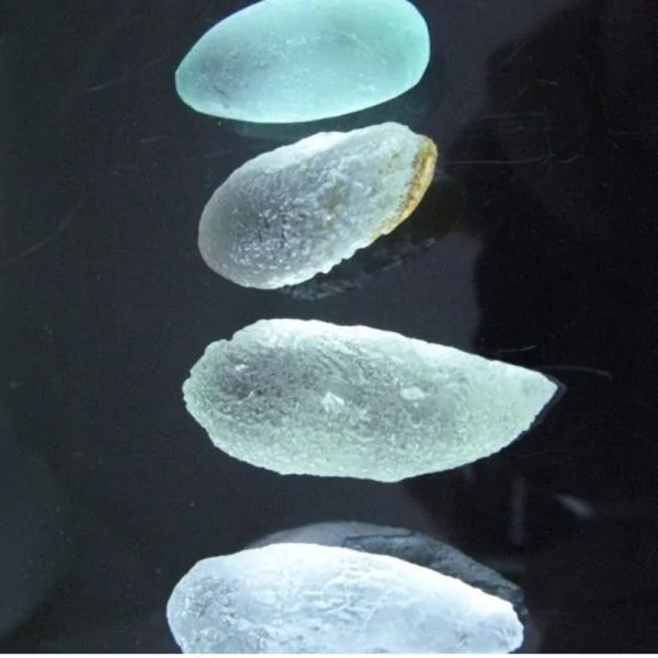 Rain Water Pearls - Type C1