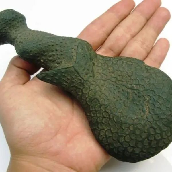 Mermaid Fossil - MFG 1