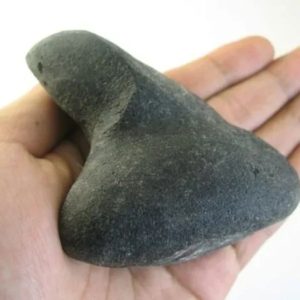 Giant Snake Horn - Type E2