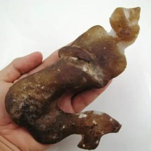 Mermaid Fossil - MF 10