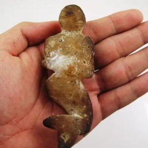 Mermaid Fossil - MF 4