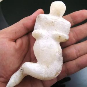 Mermaid Fossil - MF 3
