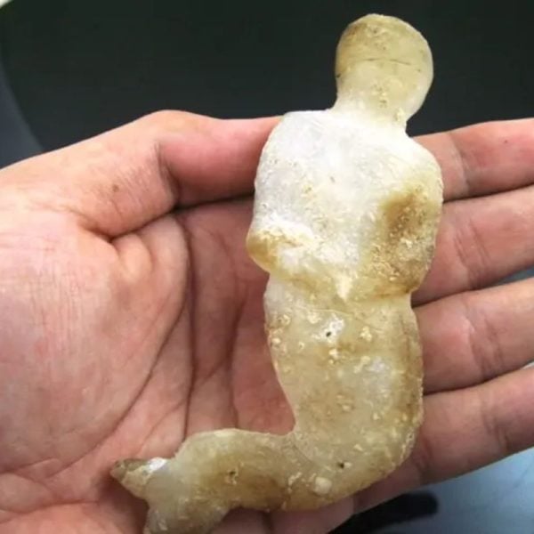 Mermaid Fossil - MF 2