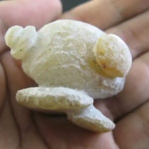 Javanese Fossilized Treasure Vase - Type B3