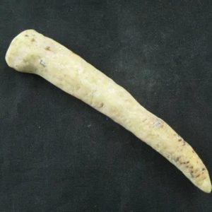 White Tiger Horns - Type G4
