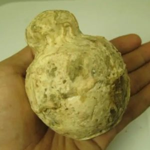 Javanese Fossilized Treasure Vase - Type A1
