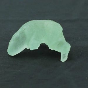 Fossilized Lizard Siluman - Type A2