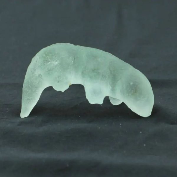 Fossilized Lizard Siluman - Type A4